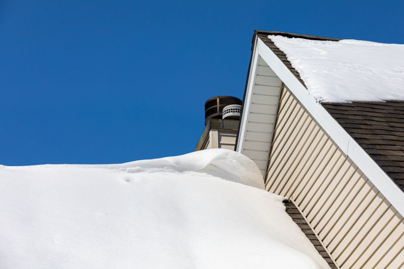 Winter Roofing Options